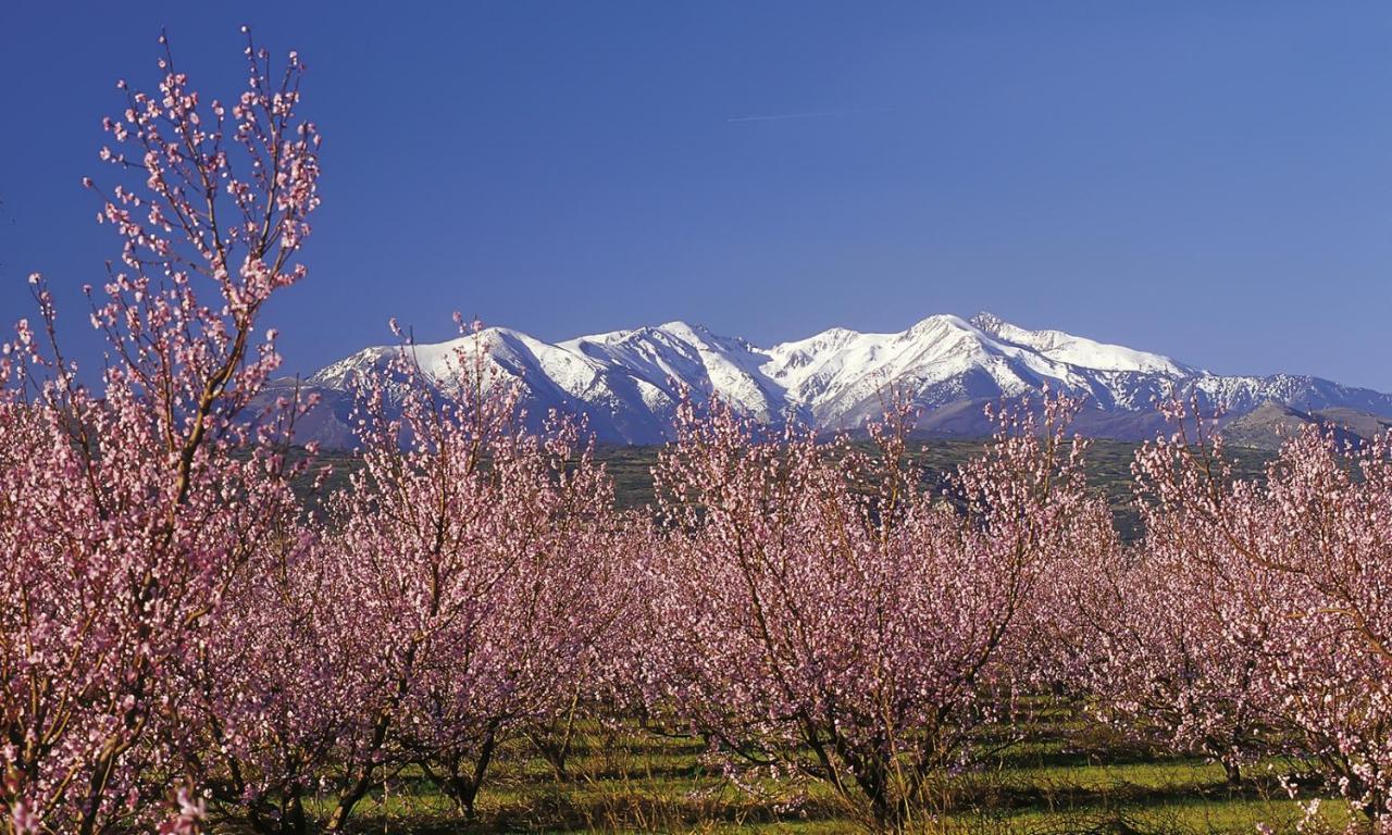 Готель Campanile Perpignan Sud Екстер'єр фото